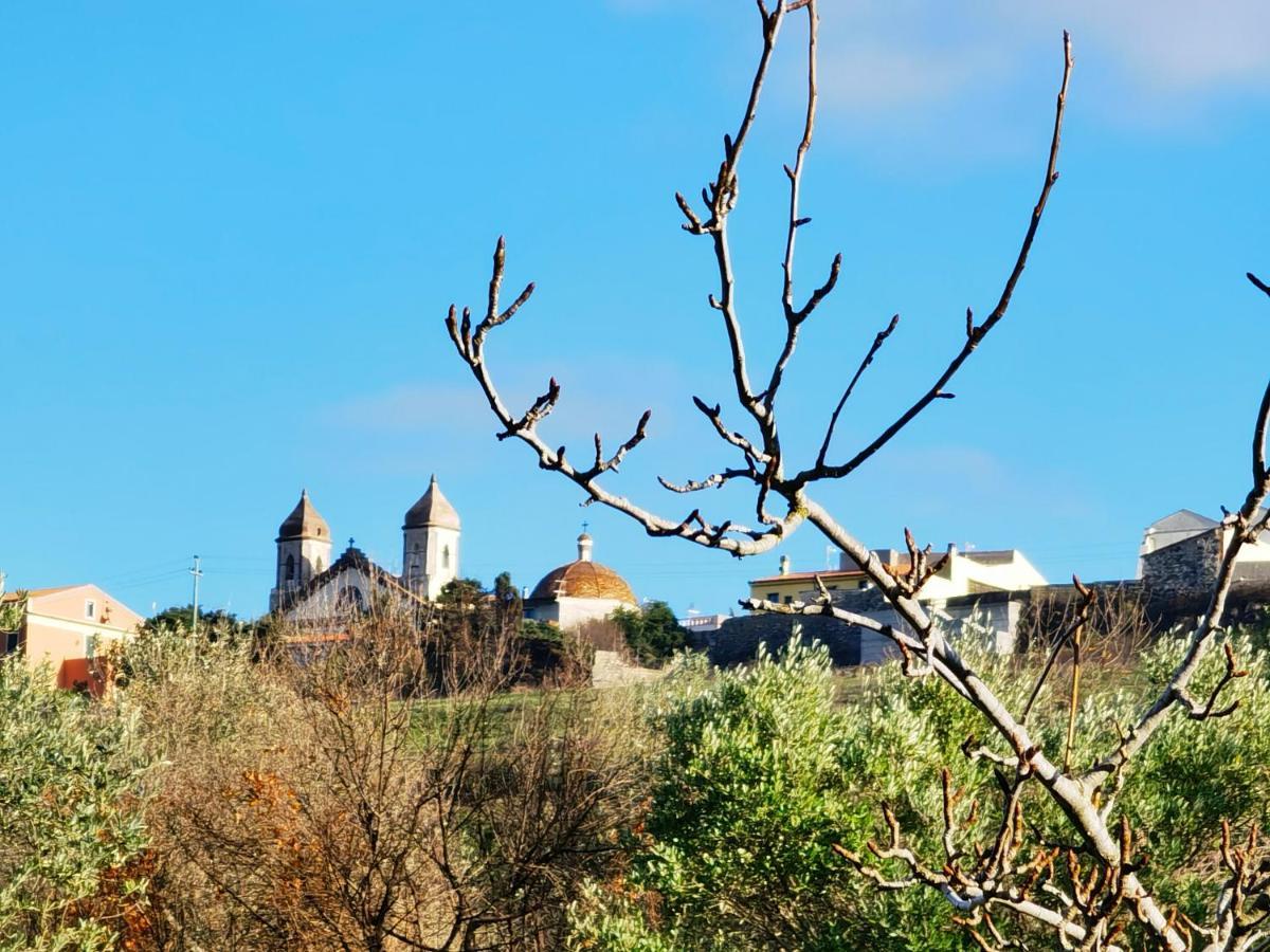 La Corte Degli Ulivi - Albergo Rurale Tresnuraghes Kültér fotó