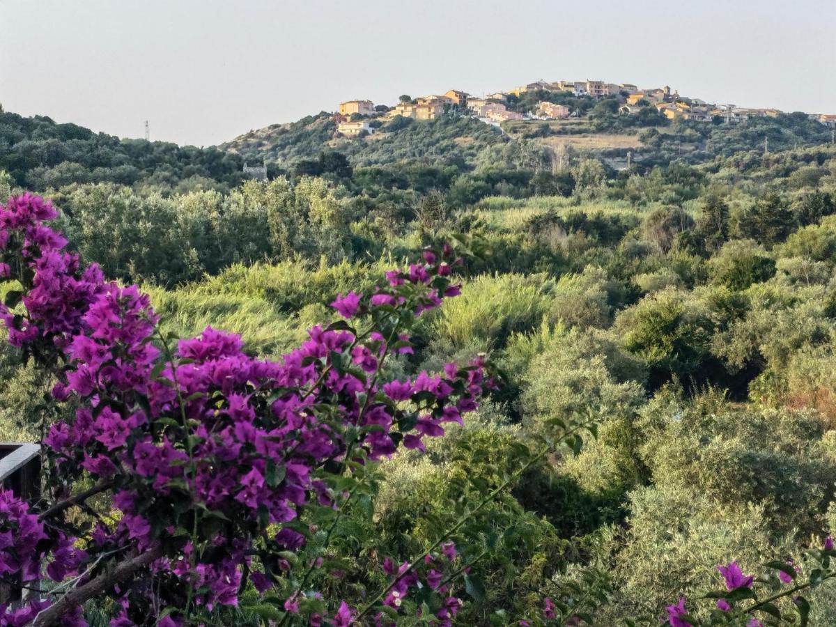 La Corte Degli Ulivi - Albergo Rurale Tresnuraghes Kültér fotó